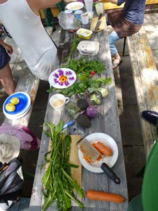 Kräuter und Gemüse aus dem Klimagarten