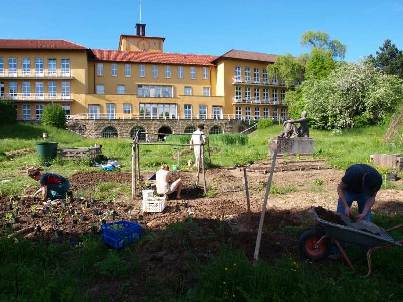 Klimagarten 2013